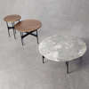 Floema Coffee table with marble top and Side Tables with wooden top