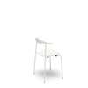 CH88T Dining Chair - Un-upholstered - white-white-powder coated-steel